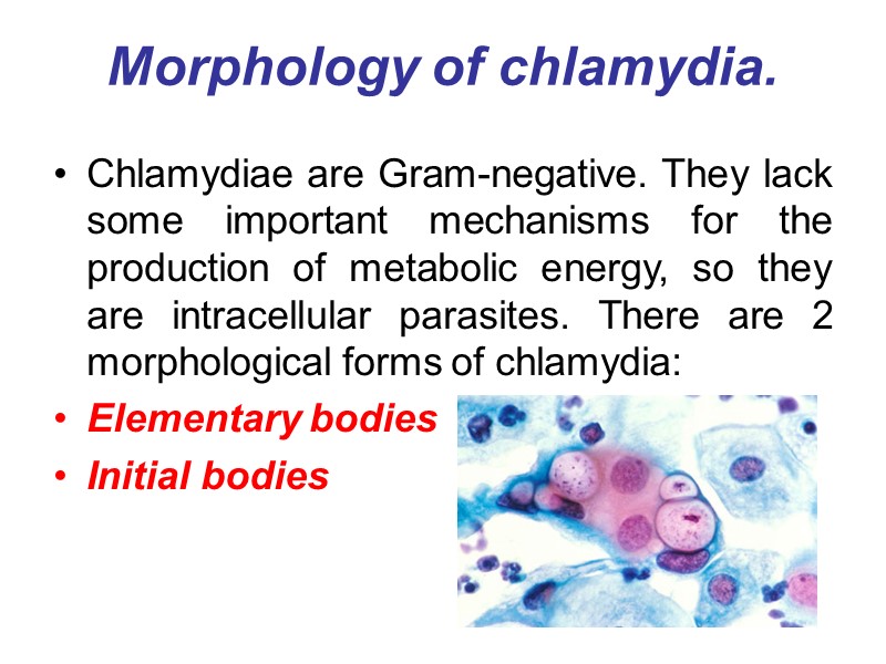 Morphology of chlamydia. Chlamydiae are Gram-negative. They lack some important mechanisms for the production